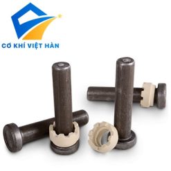 ĐINH HÀN CHỐNG CẮT