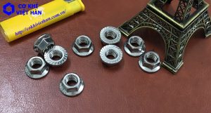 Êcu inox liền vành | Đai ốc inox liền vành