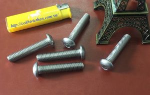 Bulong inox đầu dù