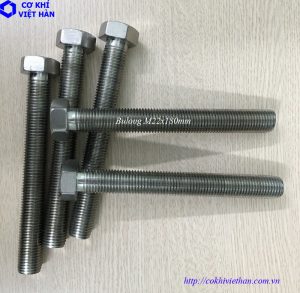 Bulong inox 304 M22 x 180mm