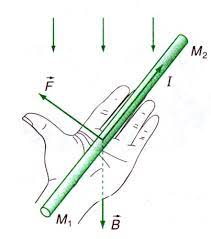 quy tắc bàn tay trái dùng để xác định