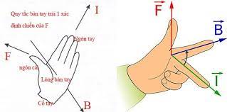 quy tắc bàn tay trái dùng để xác định 2