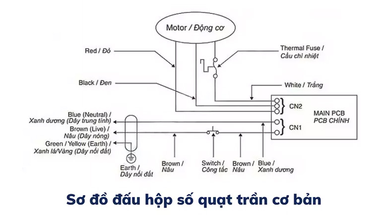 cách đấu quạt trần