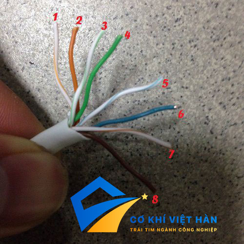 Cách bấm dây mạng 8 sợi, hướng dẫn chi tiết - Cơ Khí Việt Hàn
