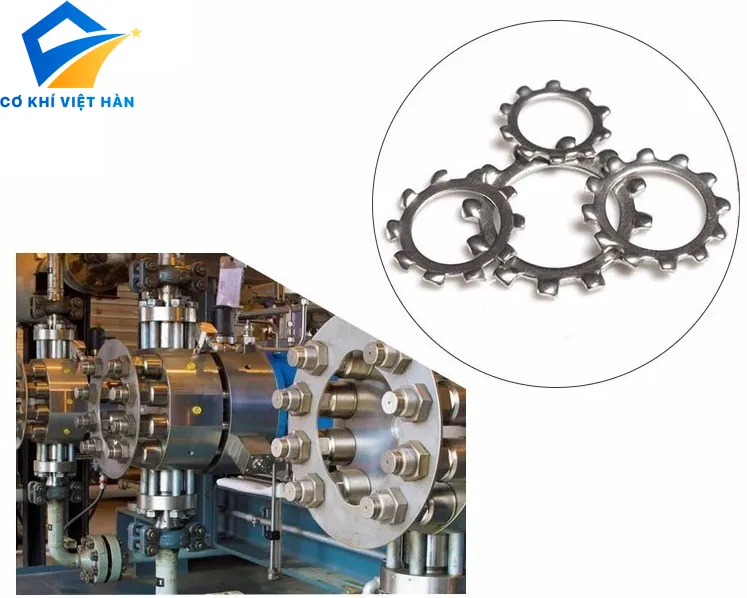 Long đen vành răng cưa