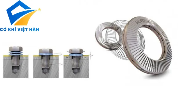 Long đen khoá /Vòng đệm khoá